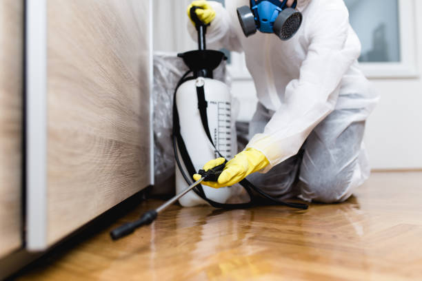 Best Pest Removal Services  in Bel Ridge, MO