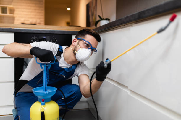 Best Best Pest Control Companies  in Bel Ridge, MO