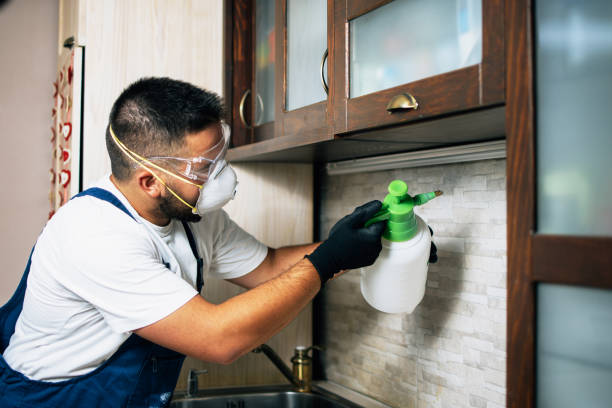 Pest Control for Restaurants in Bel Ridge, MO