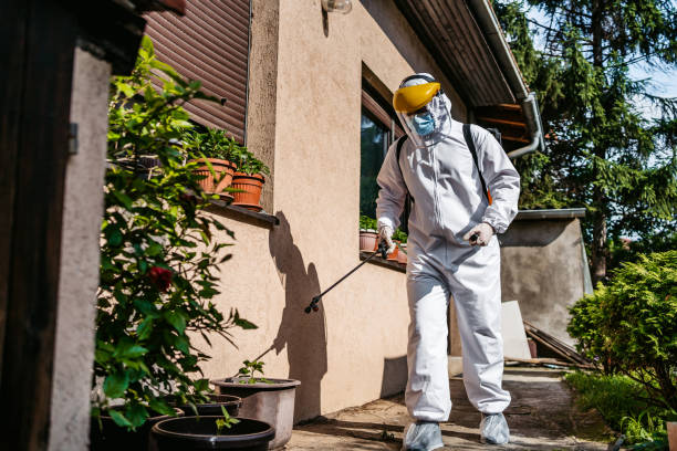 Wildlife Control Services in Bel Ridge, MO