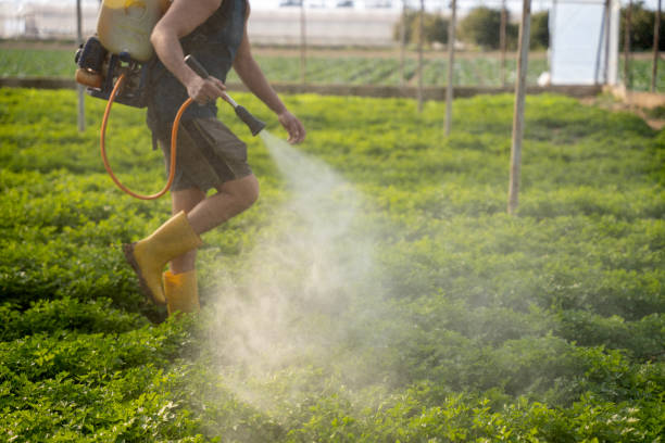 Best Pest Control for Restaurants  in Bel Ridge, MO