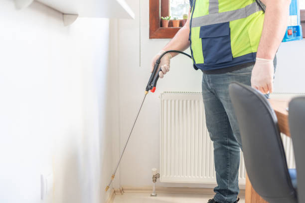 Best Cockroach Control Services  in Bel Ridge, MO