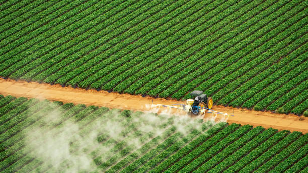 Best Termite Control Services  in Bel Ridge, MO