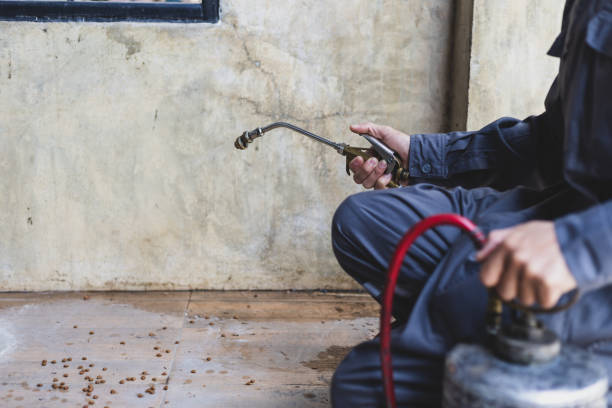 Best Emergency Pest Control  in Bel Ridge, MO
